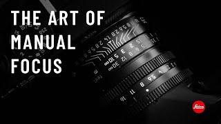 My focusing techniques for manual lenses and what I look for when buying a manual lens