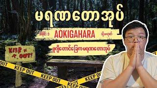 ခြောက်ခြားဖွယ် မရဏတောအုပ် (ခ) Aokigahara တောအုပ်သမိုင်းကြောင်း (အပိုင်း ၁) - Scary Sunday #ep27