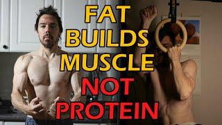 What's More Important For Building Muscle? Protein or HORMONES?