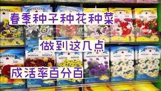 春季种子种花种菜，种的越早越好吗？【莎拉养花】