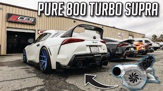 THIS PURE800 TURBO SUPRA RIPS! (Dyno Numbers, Ridealong, Reactions!)