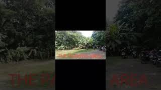 THE BALAJI UNIVERSITY PARKING AREA AT PUNE HINJEWADI MAHARASHTRA #vlog #pune #indiancities #nature