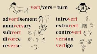 word root : vert