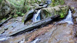 Melbourne Day Trips: Olinda Falls, Dandenong Ranges