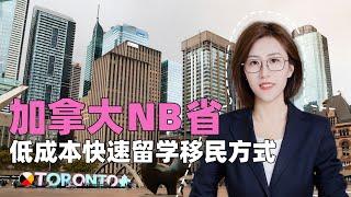 加拿大NB省留学移民，低成本快速拿枫叶卡！