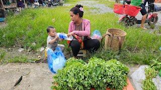 Harvest green vegetables and peppers to sell. Daily work of a single mother