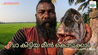 #reallife #realfishing #kerala #fishing #allfish #indiafishing #fish #all #kuttanadanfishing #india