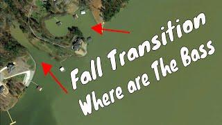 How to Find Fish During the Summer to Fall Transition - Bass Fishing