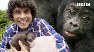 LIVE: Baby Animals MARATHON | Andy's Adventures