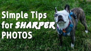 Simple Tips for Sharper Images - What are you doing WRONG?