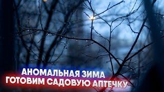 Аномальная зима. Готовим садовую аптечку