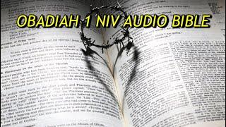 OBADIAH 1 NIV AUDIO BIBLE(with text)