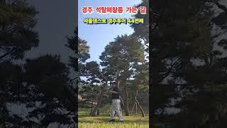 셔플댄스로 경주투어  44번째 (석탈해왕릉) 퇴직 후 이 남자가 노는 법 Shuffle dance tour in Gyeongju