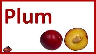 Fruits name with spelling practice TLM#7