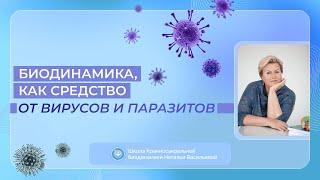 Как избавиться от вирусов и паразитов с помощью биодинамики? Краниосакральная терапия при вирусах