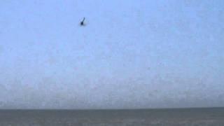 FLIGHT OVER THE SEA KATAKOLO GREECE ALIGN T-REX 450 PRO by 3D KOULOS