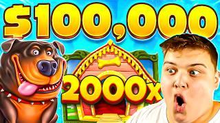 THE GREATEST $100,000 BONUS OPENING On DOG HOUSE.. SO MUCH PROFIT!