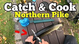 Catch Clean and Cook | Fishing Northern Pike