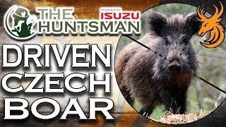 EPIC Driven Wild Boar Hunt in the Czech Republic