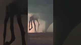 Scary Tornado ️ #mustwatch #fyp