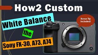 How to Custom White Balance the Sony FX-30 2024