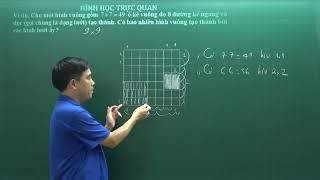 Bồi dưỡng HSG Toán 6 - Hình học trực quan - Thầy Bùi Minh Mẫn