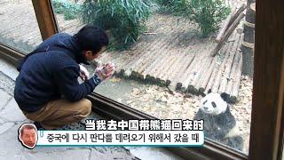 姜爺爺飼養的第一代旅韓大熊貓「莉莉」的故事