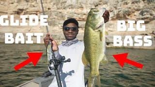 This Is WHY You Fish BIG Glide Baits In The Summer!