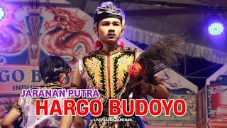 Jaranan Putra HARGO BUDOYO Live Gador Durenan ~ AMJ AUDIO