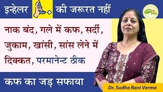 नाक बंद, गले में कफ, सांस लेने में दिक्कत का घरेलु इलाज | Lungs Problem | अस्थमा | Aayu Shakti