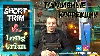 Топливные коррекции