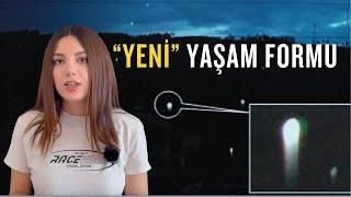 Dünya Dışı, Üstün Zekalı Yaşam Formu: Plazmoidler