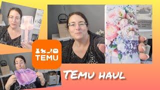 TEMU  HAUL  / Budget Planer-und Handy Zubehör / Salat & Porridge Becher to go