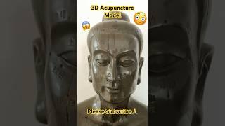 3D Acupuncture ModelTCM #viral #trending #youtubeshorts #shortsvideo #shortsfeed #shorts #dr