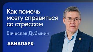 Вячеслав Дубынин о том, как помочь мозгу справиться со стрессом