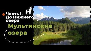 Мультинские озера (Алтай) с собакой. Идем до Нижнего Мультинского озера. ЧАСТЬ 1.