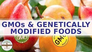 Genetically modified foods effects on human health - genetic modification of food pros and cons