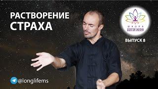 Научиться жить без страхов.  Выпуск 8. Школа Долгой Жизни Михаила Советова