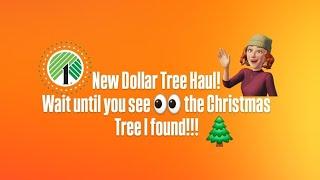 New Dollar Tree Haul Amazing Finds You Must See  @ginablivingfully6884