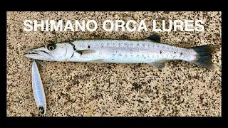 Shimano Orca Topwater Surface Lures w/Rockaway 6K Reel!