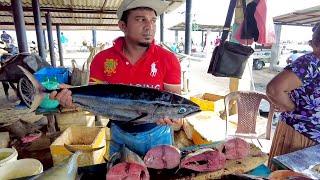 Today's Fish Prices Negombo Fish Market