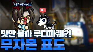 [메이플랜드] 혼자 사고 치고 혼자 해결하는 자립형 뉴비 메린이 (ep.8)