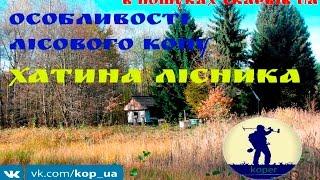 Випуск #57. Особливості лісового копу. В Пошуках Скарбів UA.