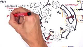 Oncogenetics - Mechanism of Cancer (tumor suppressor genes and oncogenes)