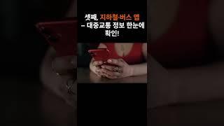 시니어폰에 꼭 넣어야 할 앱 BEST 3 #시니어건강 #필수앱 #이슈