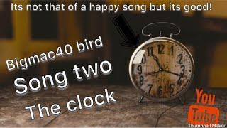 BigMac40 bird song two the clock