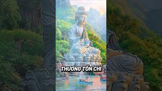 Phật #loiphatday #loivangphatdaythichphaphoa #baihoccuocsong #tamtrangcuocsong #phậtpháp #phongthuy