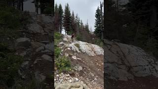 New Triple Rock Roll at Snoqualmie Bike Park #mtb #bikepark #pov #mountainbiking #downhillmtb #mtb