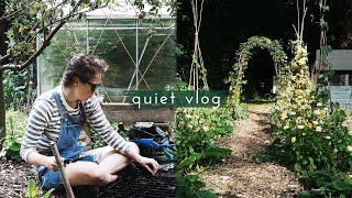 Slow & Peaceful Vlog | Sowing for Autumn | Clearing the Stream