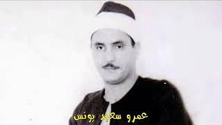 الشيخ عمرو سعيد يونس